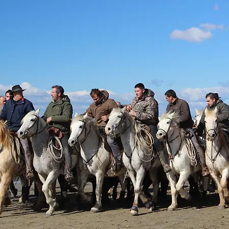 Отель Les Acacias Ле-Гро-дю-Руа