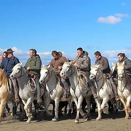 Les Acacias Ле-Гро-дю-Руа